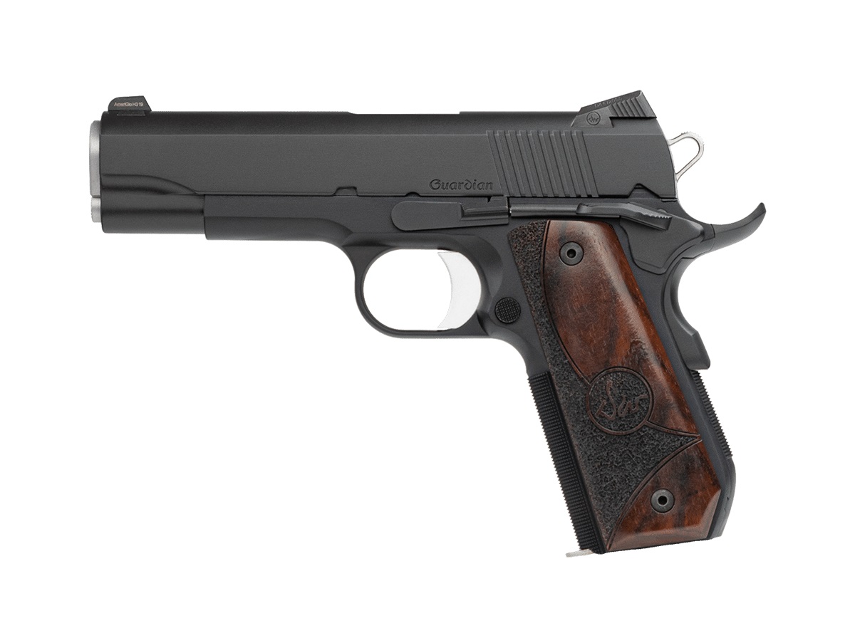 CZ DAN WESSON DW GUARDIAN 9MM 9+1