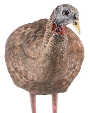 Avian X AVXAVX8008 LCD Breeder Hen Turkey Species Multi Color Dura-Rubber