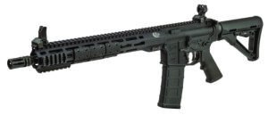 Colt Mfg CM55616M5S M5 Carbine Sentry 5.56x45mm NATO 30+1 16.10" Barrel, Black Hard Coat Anodized Metal Finish, Black Collapsible Stock, Black A2 Grip