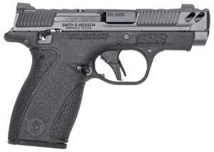 SW PC BODYGUARD 2.0 TS CARRY 380ACP 3.1 10/12R