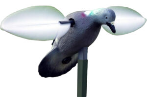 Mojo Outdoors HW2410 Pigeon Species Multi Color Plastic