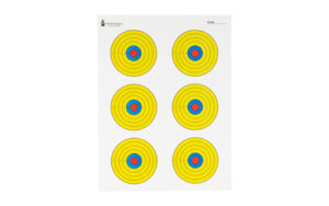 ACTION TGT BRIGHT 6 BULLSEYE 100PK