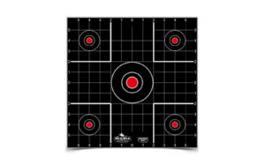 B/C DIRTY BIRD SIGHT IN TGT 12-12"