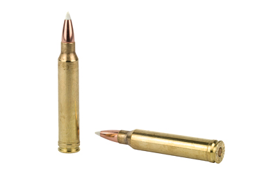 NOSLER 300WIN 180GR AB 20/200 - Image 4