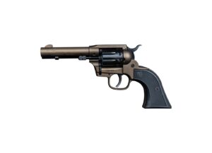 DIAMONDBACK FIREARMS SIDEKICK 22LR/22M BRZ 4.5" 9RD