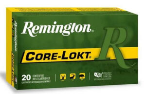 REM CORE-LOKT 400LEGEND 210GR PSP 20/10