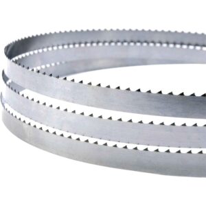 LEM Products Replacement Blade for Electric Tabletop Meat Saw (LS1561)