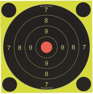 Birchwood Casey Shoot-N-C International Target