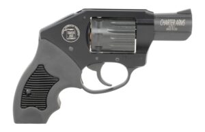 Charter Arms 12311 Walker  22 Mag 8 Shot 2"