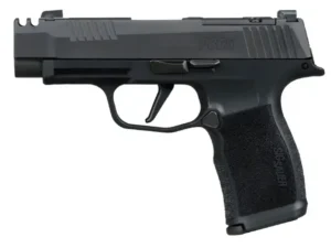 SIG P365 380ACP 3.1 OR (2) 10RD BLK COMP